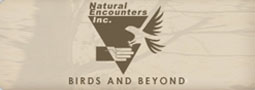Natural Encounters Conservation Fund