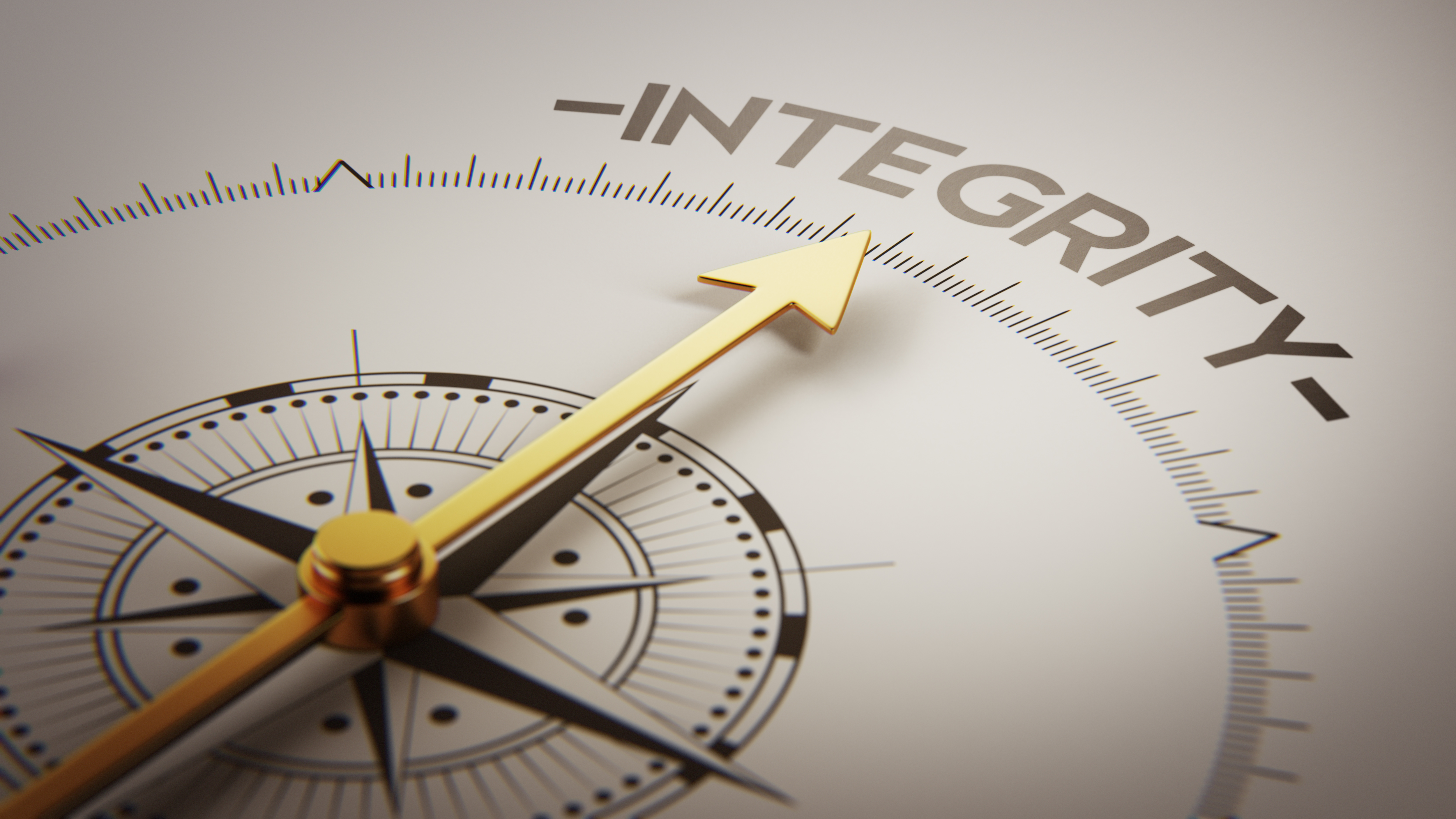 How To Demonstrate Leadership Values And Lead With Integrity